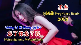  wang le ni wang le wo dj proghouse remix 2023 melupakanmu melupakanku