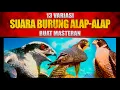 Download Lagu 13 SUARA BURUNG ALAP-ALAP - FALCON