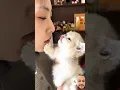 Download Lagu Lucu comel😹Kucing Viral ￼#kitten #cute #catlover #cutecat #cat #cuteanimals #viral #shorts #lucu