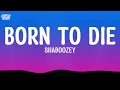 Born To Die - Shaboozey (Lyrics)