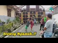 Lagu Ngamuk lagi..!! BREWOG Baru dibunyikan Warga Langsung Kalang Kabut