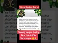 Download Lagu Doa untuk kami