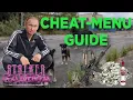 Stalker GAMMA Cheat Debug Menu Tutorial Spawn Items Monsters MORE
