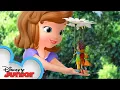 Download Lagu The Littlest Princess | Sofia The First | @disneyjr