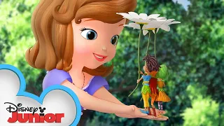 Download The Littlest Princess | Sofia The First | @disneyjunior MP3