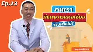  กระดูกมีหน้าที่อะไรในร่างกาย 