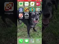 QR Code Reading Options on iOS 11 Other Mobile Devices