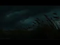 Sleep to Thunder & Night Winds | Storm Over Silent Fields | Majestic Calm for Deep Rest