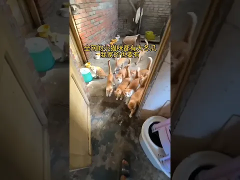 Solo quería comprar una sandía y terminó comprando la Tierra 😂🌎🍉
