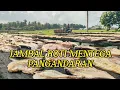 Download Lagu Ikan Asin Jambal Roti Mentega Pantai Timur Pangandaran