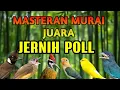 Download Lagu MASTERAN MURAI BATU SUARA TEMBAKAN JERNIH ANDALAN MURAI JUARA WAJIB PUNYA MATERI ISIAN INI