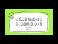 Surgical anatomy of the Obturator canal