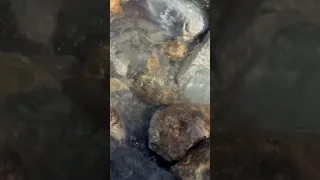 А в это время на Огненной Земле… #антарктида #лагунаэсмеральда