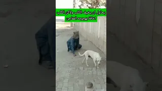 يحاول ان يفجع الكلب والكلب مطنش له لحتى كعضلت فنيجه 