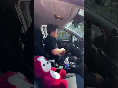 I tested this amazing car accessories idea