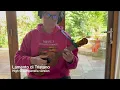 Download Lagu Lamento di Tristano arr. for ukulele