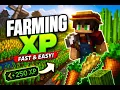How To Get Farming XP FAST Hypixel Skyblock Guide