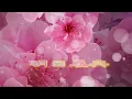 8️⃣1️⃣ 明日恩典~容祖兒小姐