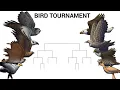 Download Lagu TURnamen BURUNG - ANIMASI