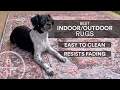 Best Indoor Outdoor Rugs Dalyn Sedona Jericho Review