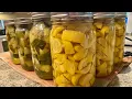 Canned Zucchini Summer Squash Pressure Canning Self-Sufficiency