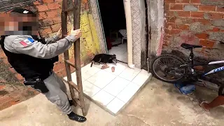 Diário de um PMAL #245 A escada chegou!! A casa caiu. - H.C.K.d
