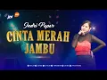 Download Lagu INDRI PAPAR - CINTA MERAH JAMBU
