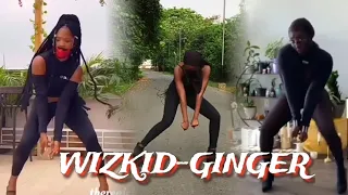 wizkid ginger ft burna boy dance challenge compilation ginger ft wizkid u0026 burna boy 