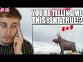 Download Lagu Brit Reacts to 10 Myths about Canada People Believe Are True!