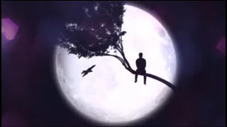 أبيوسف    معلش أنا تهت بالكلمات                                       دندنها