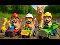 Download Lagu Mama Cat Trims Fur on the Farm and Makes Tiger Hat For Kittens At Home🐾🎩🐯