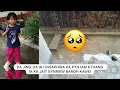 Download Lagu ka jingjia ia i in-saphira ka pyn iam kthang ia ka jait bynriew baroh kawei