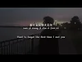 Qing Fei De Yi (情非得已) R&B Lyrics 歌词 Pinyin/English Translation (動態歌詞)