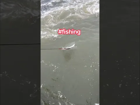 pov: fishing is fun | he caught a huge fish #fishing