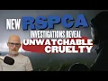 Download Lagu Undercover Investigations Reveal Animal Charity Slaughter | RSPCA Scandal Continues