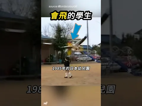 會飛又會音樂的學生🦤