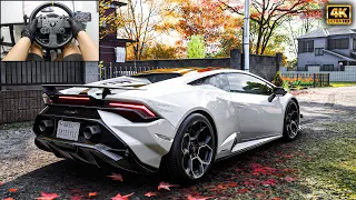 Lamborghini Huracan Tecnica - Forza Horizon 6 | Thrustmaster TX Gameplay