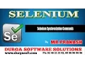 Selenium Synchronization Commands