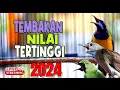 Download Lagu CUCAK CUNGKOK GACOR FULL TEMBAKAN NILAI TERTINGGI DI ARENA LOMBA