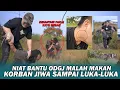 Lagu BERINGAS 😡 !! ODGJ INI MUKUL DAN MELEMPAR PAKAI BATU SAMPAI LUKA