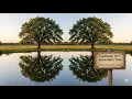 LeetCode 101 Symmetric Tree Mirror Check Explained C Code Easy