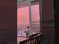 Download Lagu Shaam Gulabi.....#sham #gulabi #shorts #balcony #eveningview