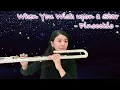 星に願いを《バスフルート演奏》When You Wish upon a Star [Bassflute]