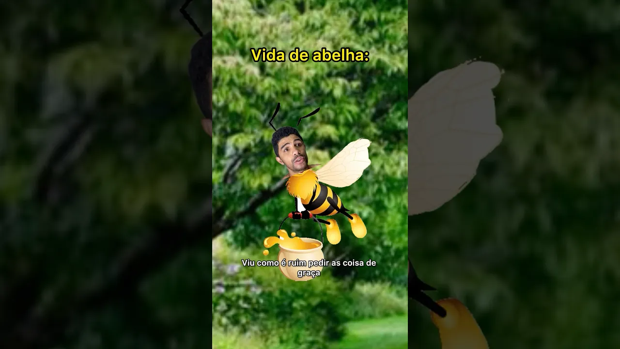 VIDA DE ABELHA