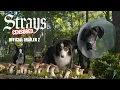 Strays Trailer 2