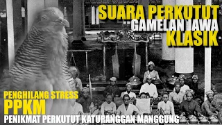 Download SUARA BURUNG PERKUTUT DAN GAMELAN JAWA MP3