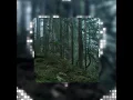 from eden - hozier (sped up)
