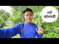 Download Lagu Monsoon's havoc: Danger for animals and roads in the mountains || Pahadi Lifestyle || Namaste Pahad
