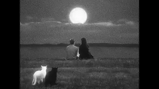 مزج شعر شعبي 