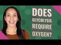 Does glycolysis require oxygen